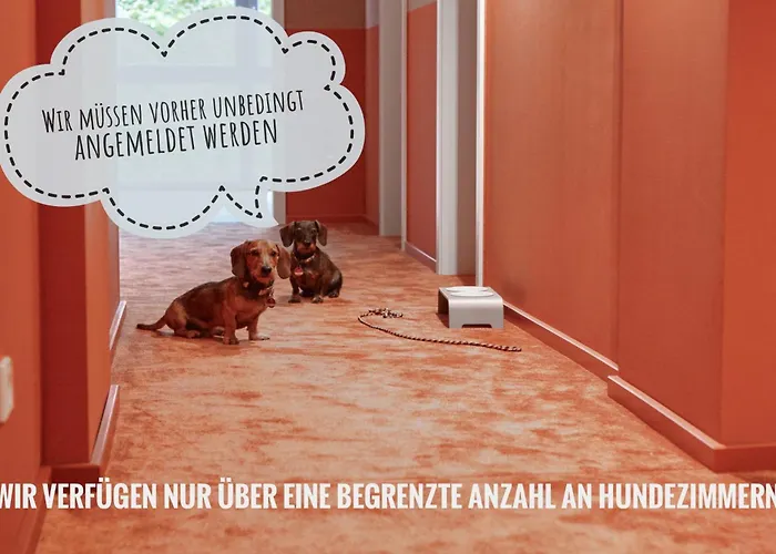 Hotel Just Eleven Böhl